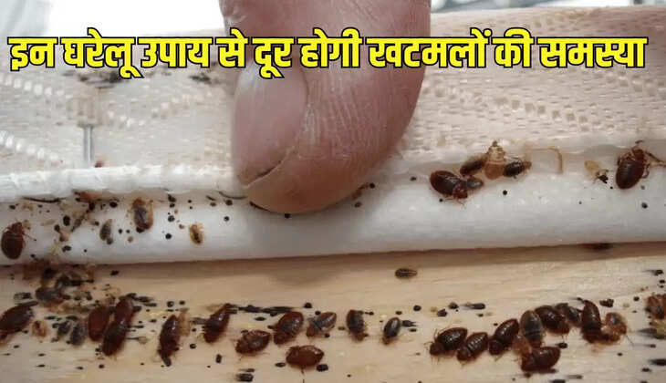 इन घरेलू उपाय से दूर होगी खटमलों की समस्या