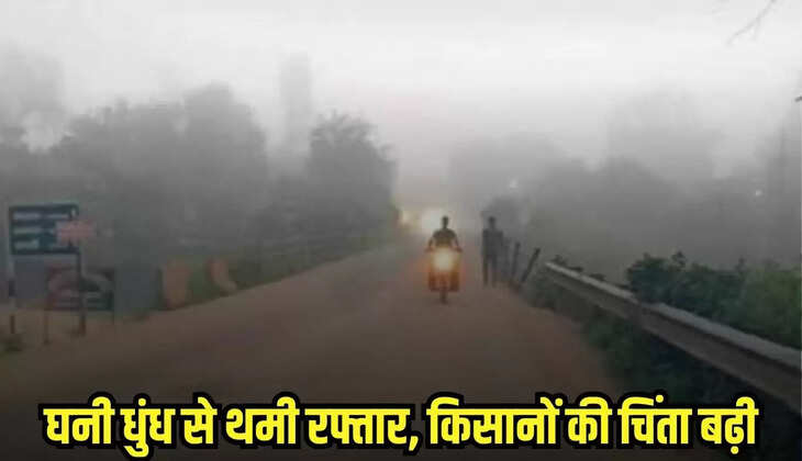 Burhanpur news, MP news,