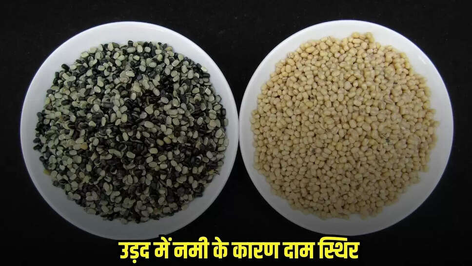 Bina news, MP news,