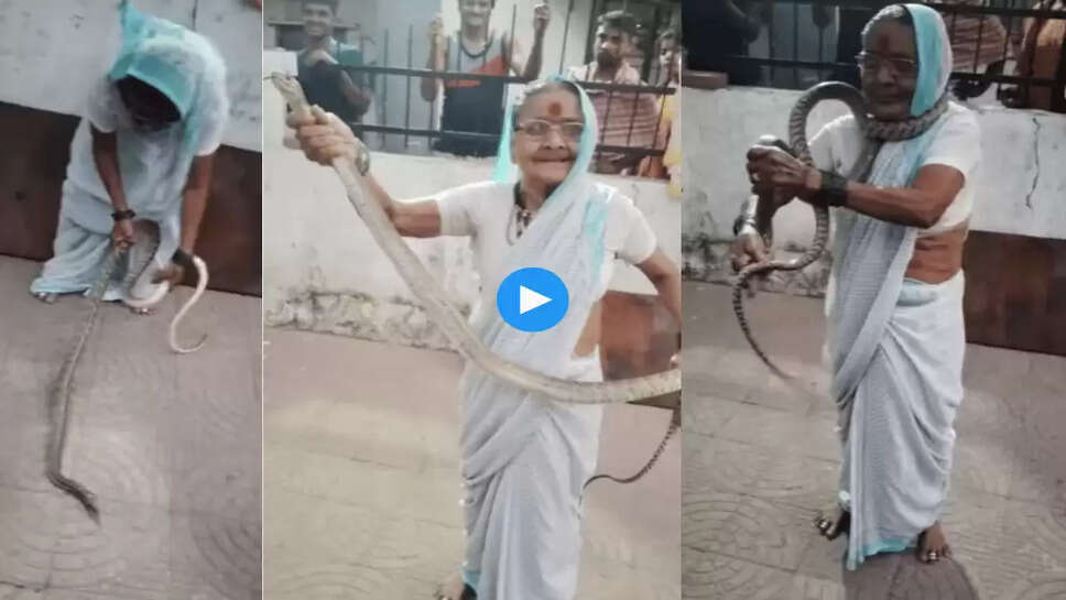 70 साल की दादी ने पकड़ा 8 फिट लंबा सांप