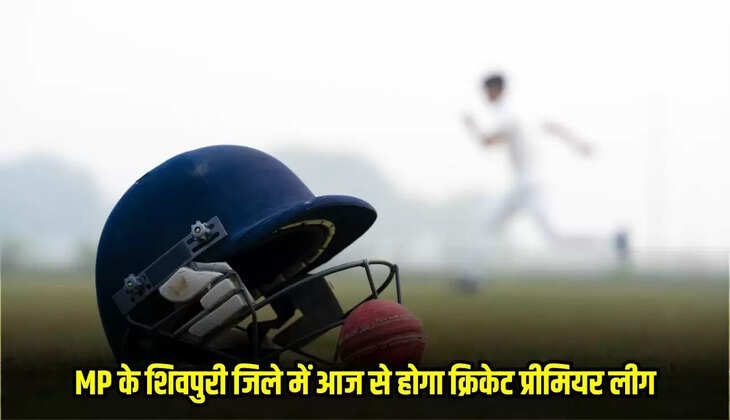 MP News