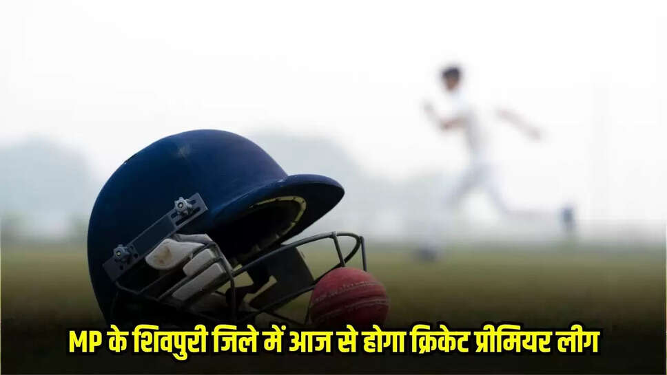MP News