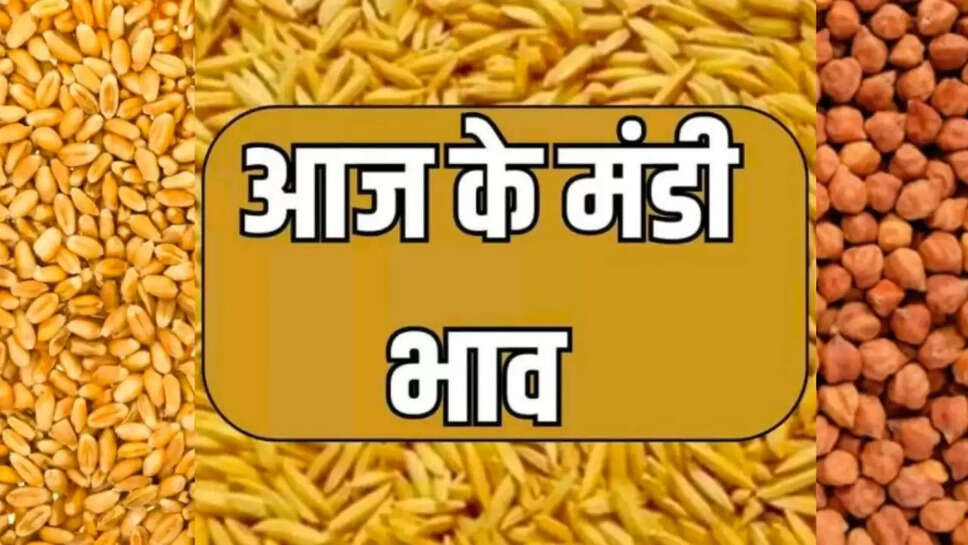 चना, गेहूं, मूंग, उड़द, सोयाबीन, लहसुन, प्याज, आलू, मसूर, सरसों, ग्वार , बाजरा