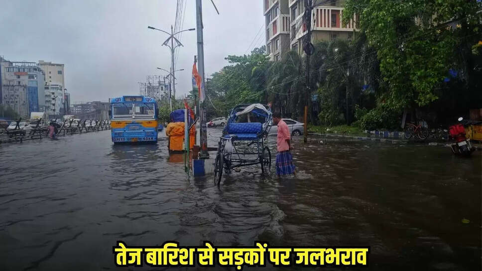 Dhaar News