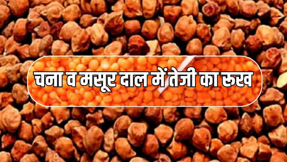 चना व मसूर दाल