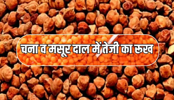 चना व मसूर दाल