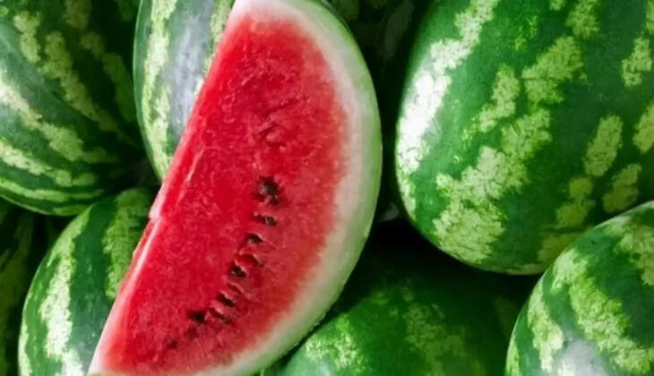 magaj watermelon