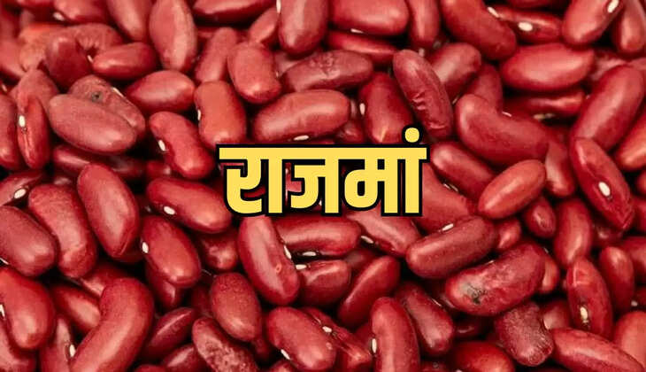  राजमां चित्रा