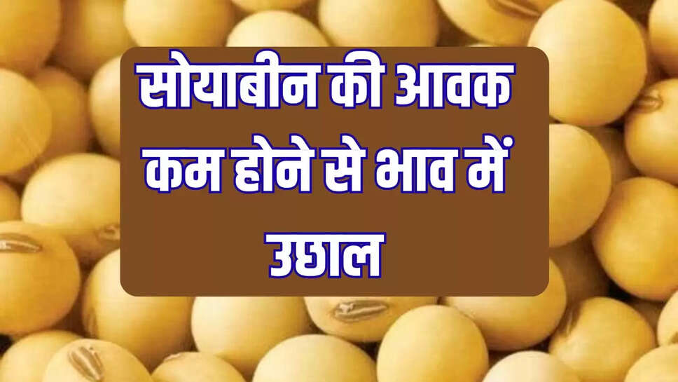 मंडी में सोयाबीन भाव