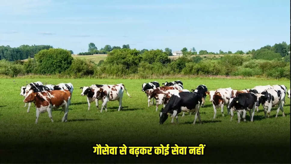 Mandsaur News