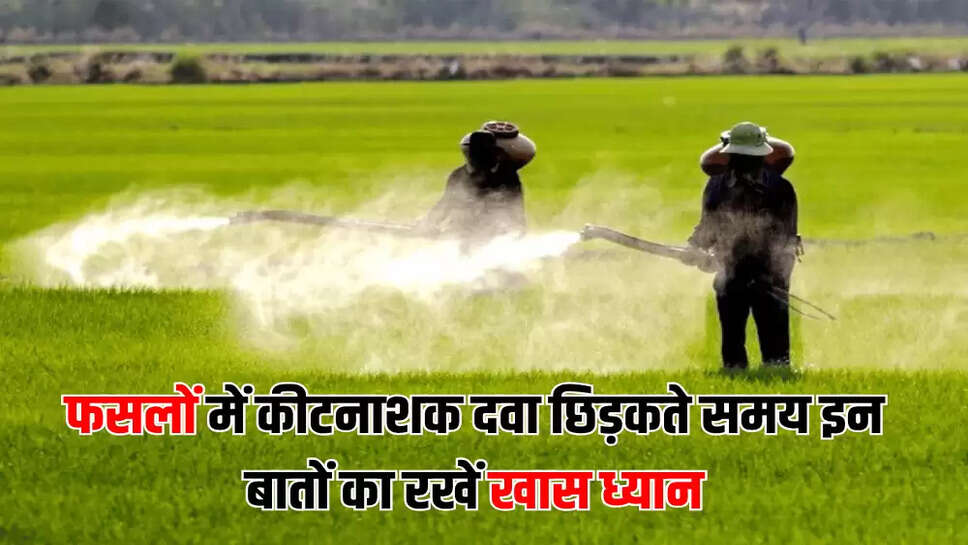 फसलों में कीटनाशक दवा छिड़कते समय इन बातों का रखें खास ध्यान