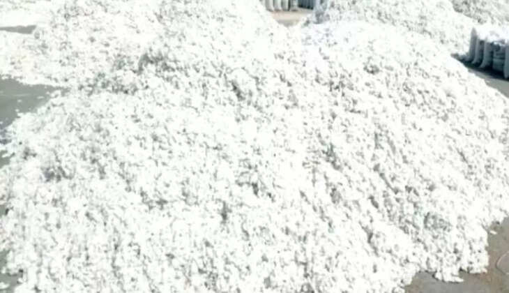 cotton  prices 