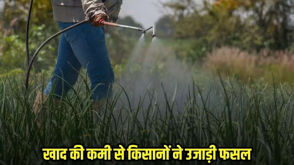 Shivpuri News