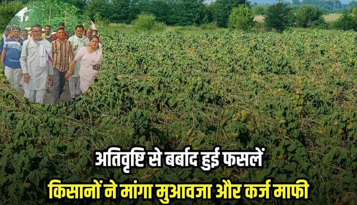 Badwani news, MP news