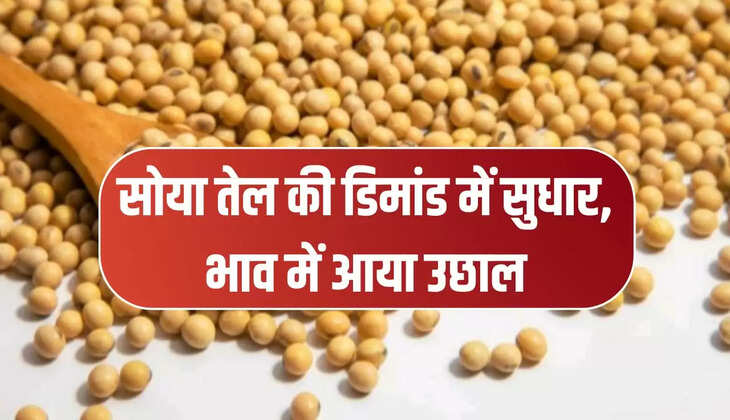 सोया तेल