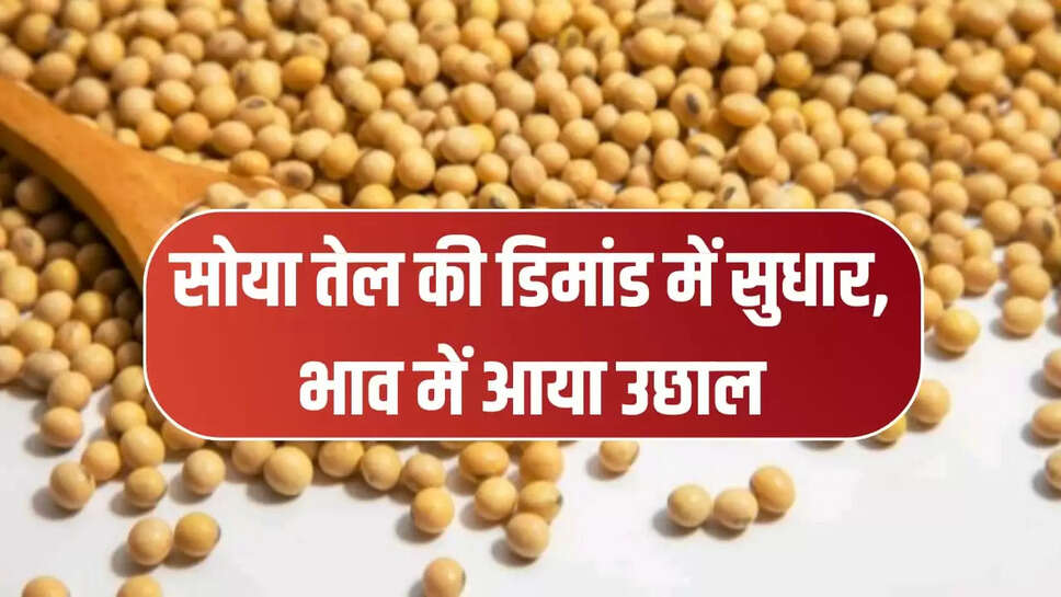 सोया तेल