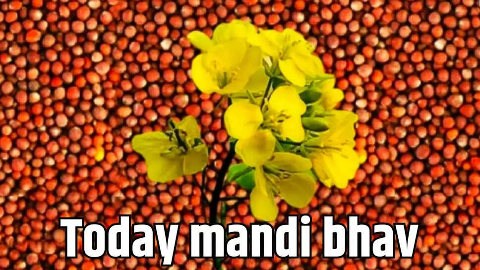 Today mandi bhav E KHABAR TODAY