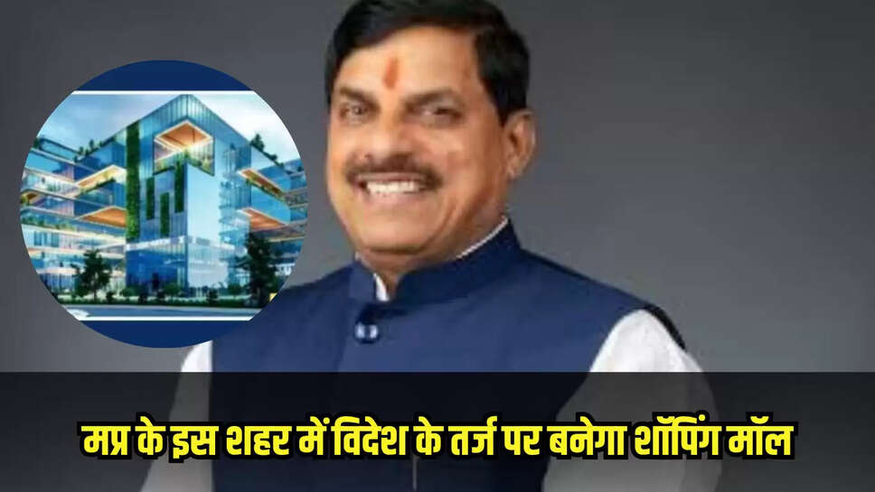 Mp news
