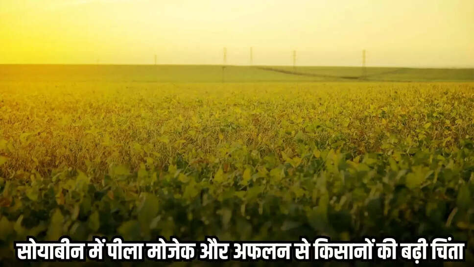 Mandsaur News