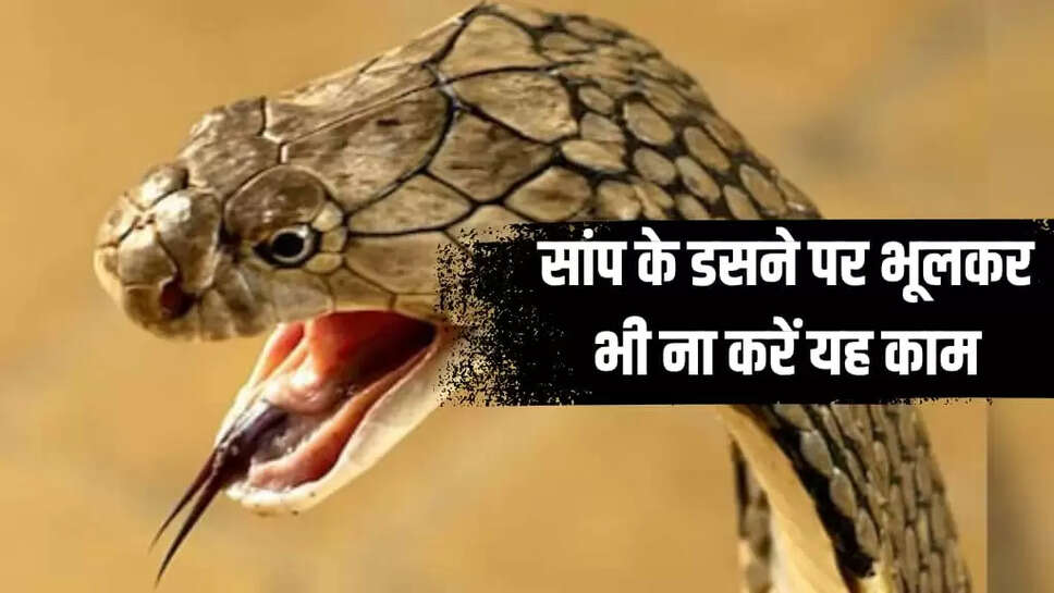 Snake Bite
