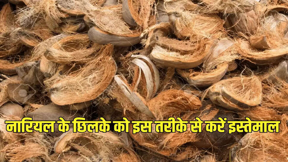 नारियल के छिलके को इस तरीके से करें इस्तेमाल