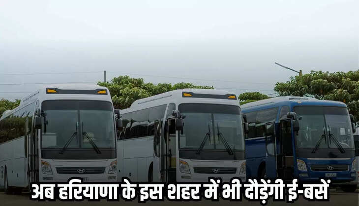 Haryana News