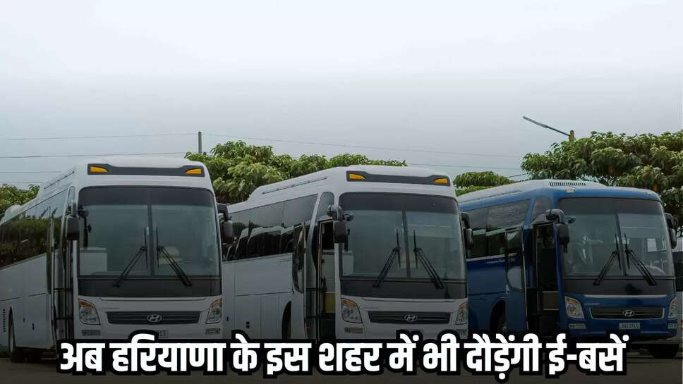 Haryana News