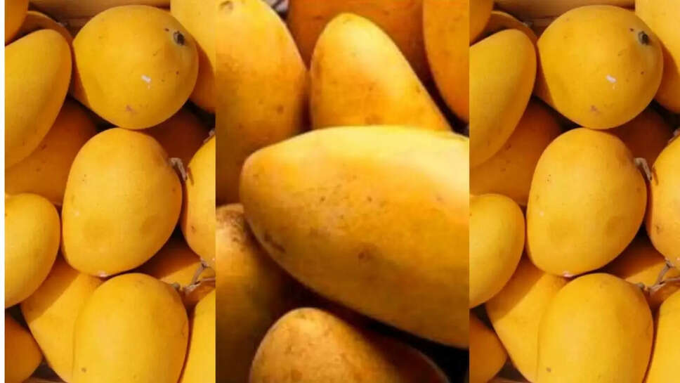 mango