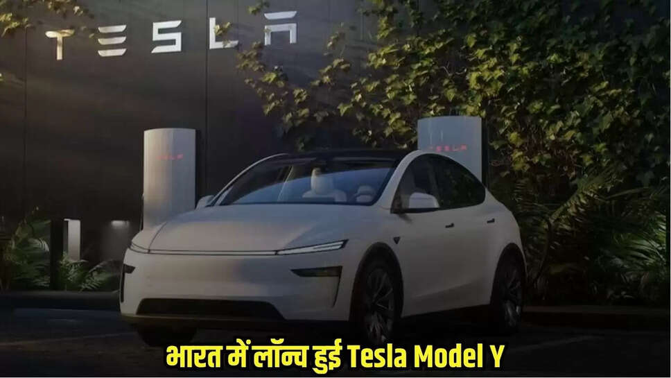  Tesla Model Y