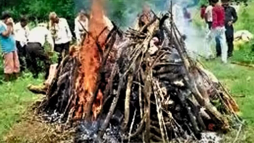 मुरैना के रायपुर 