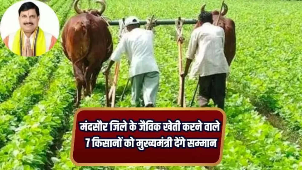 Mandsaur News