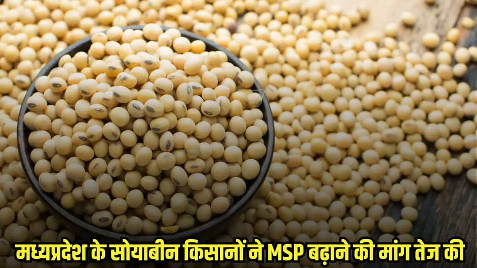 MP News