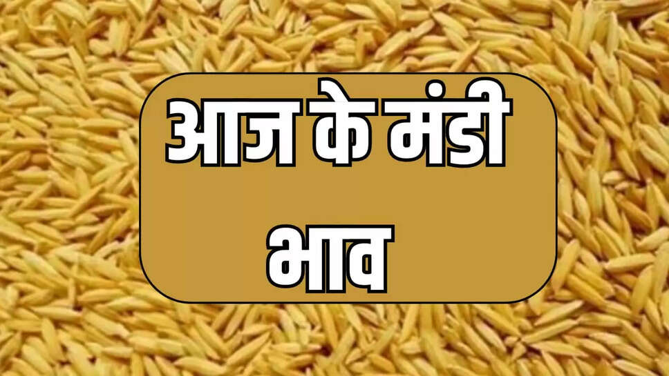  मंडी में सभी फसल भाव