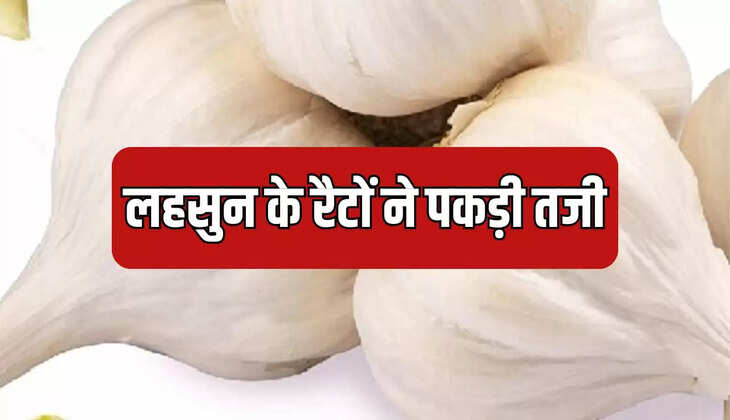 लहसुन