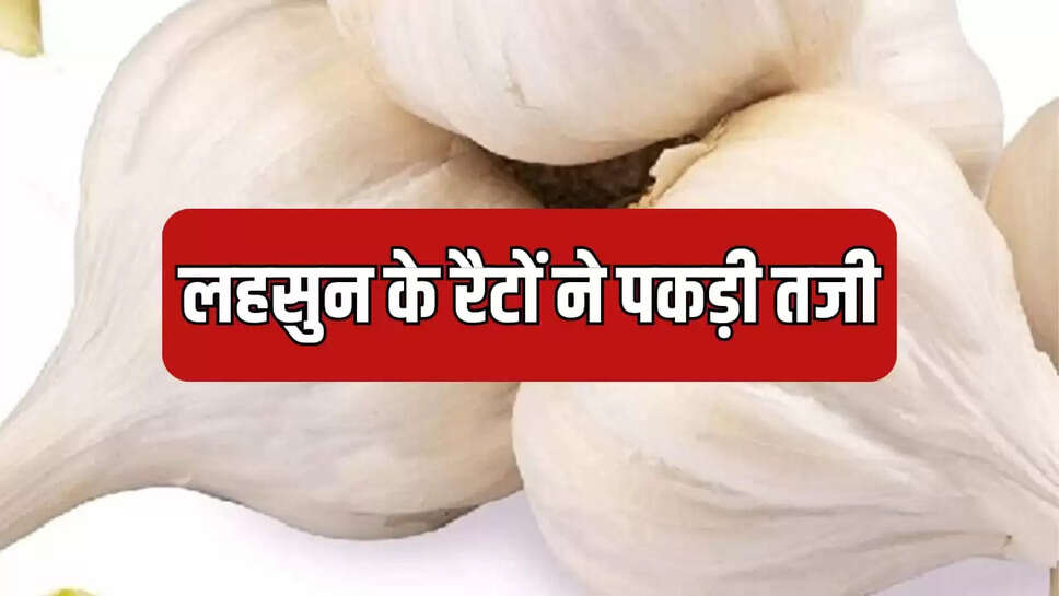 लहसुन