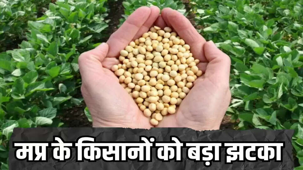  farmers of madhya pradesh