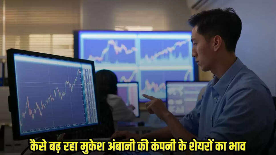Share Market