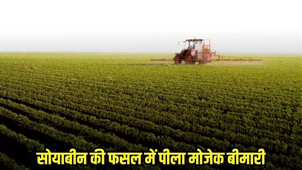 Jhabua news, MP news,