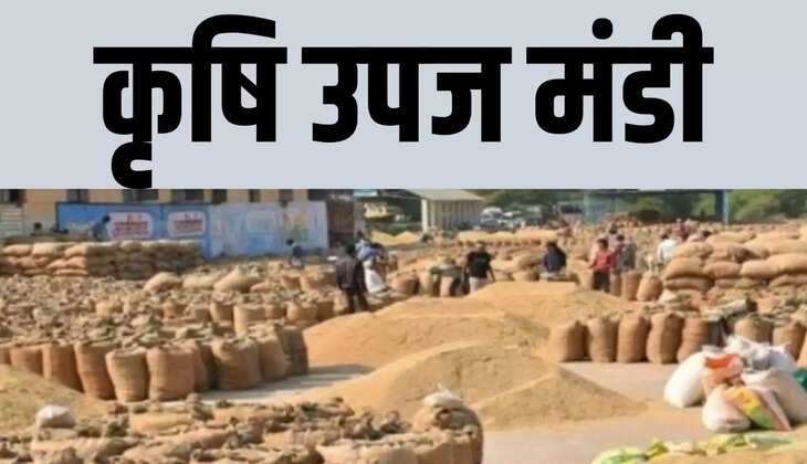 कृषि उपज मंडी