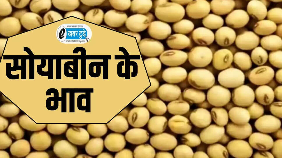 सोयाबीन के भाव
