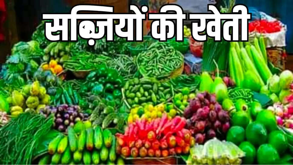 सब्जी की खेती 