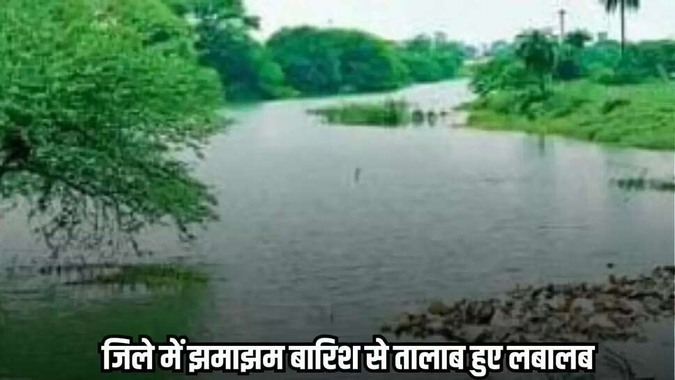 Dhaar news, MP news,