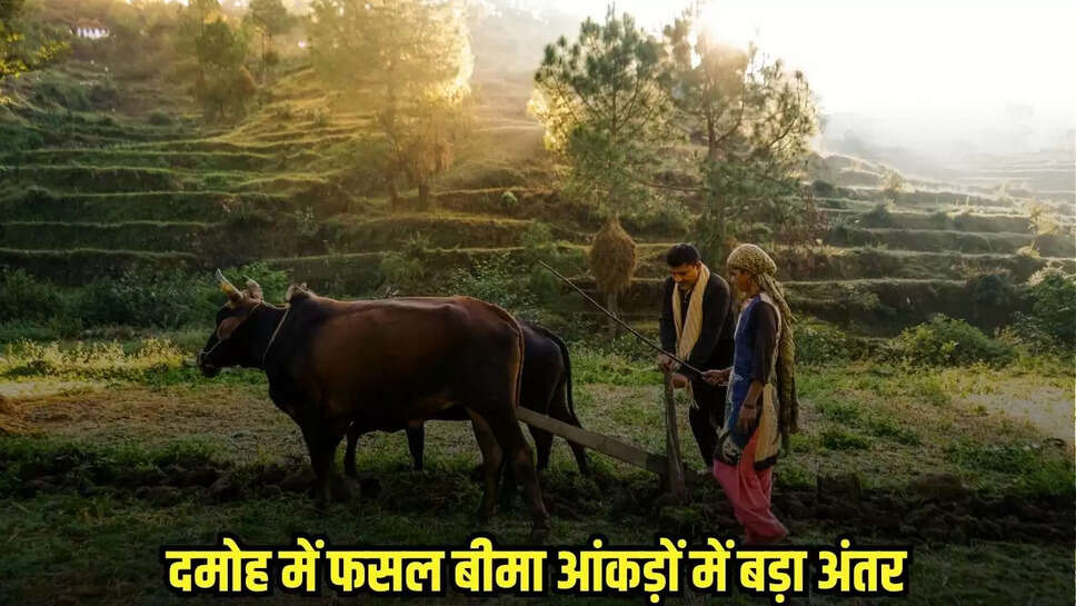 Damoh News