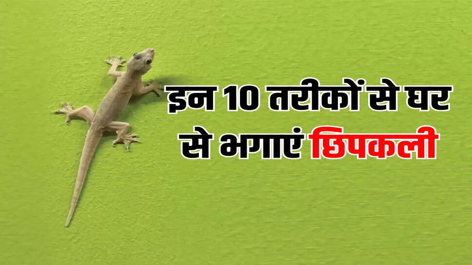 इन 10 तरीकों से घर से भगाएं छिपकली
