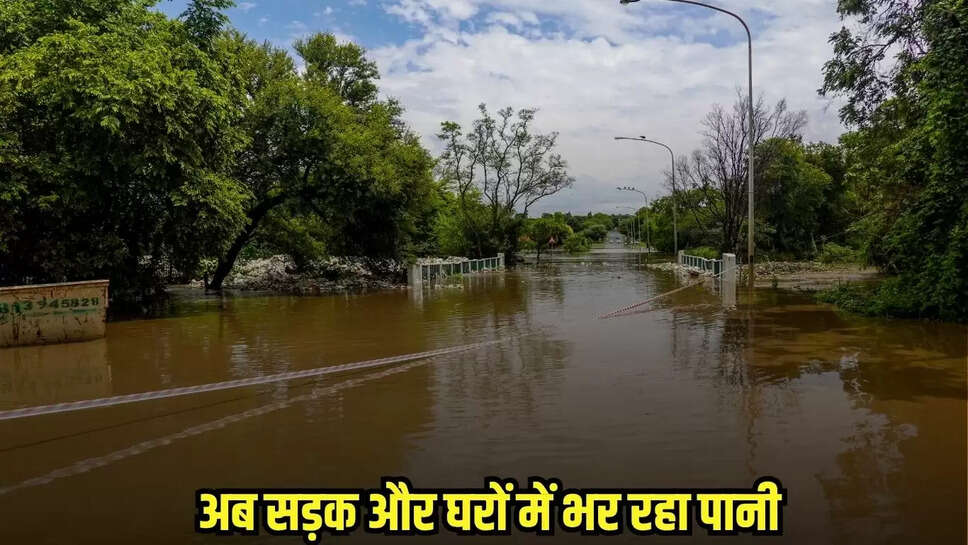 Bina News
