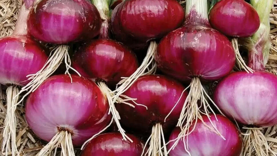Onion prices