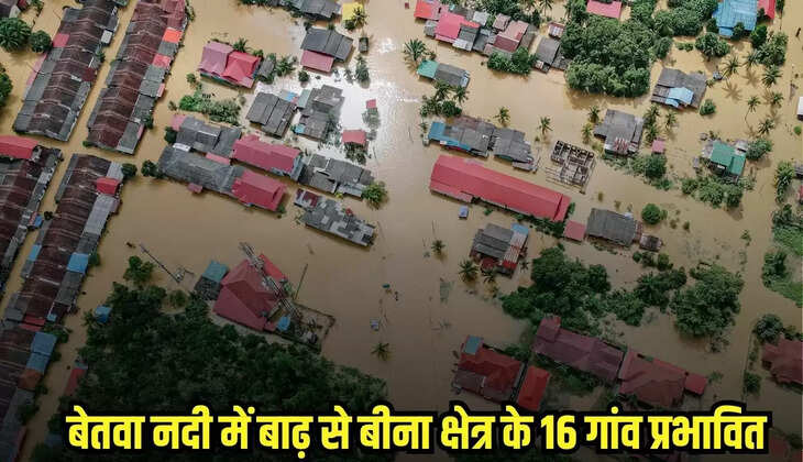 Bina News