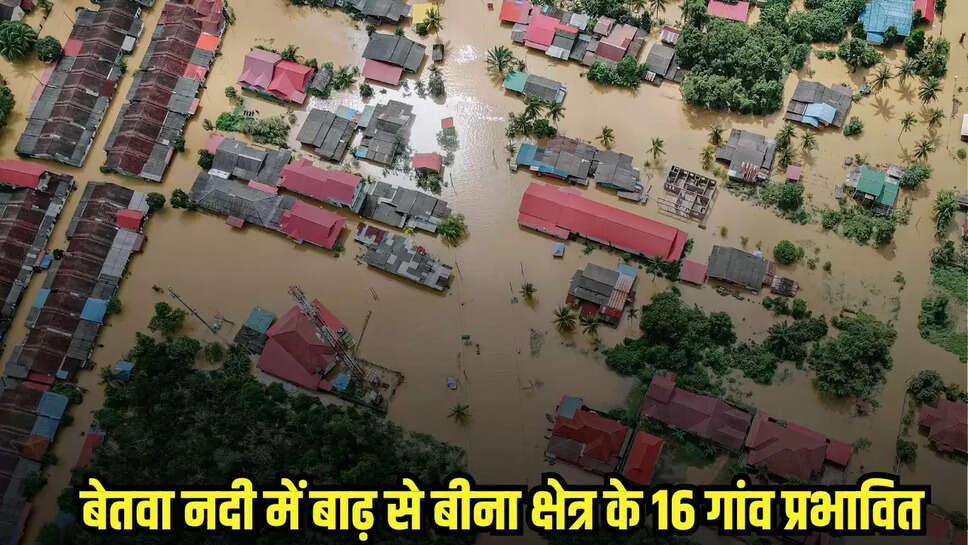 Bina News