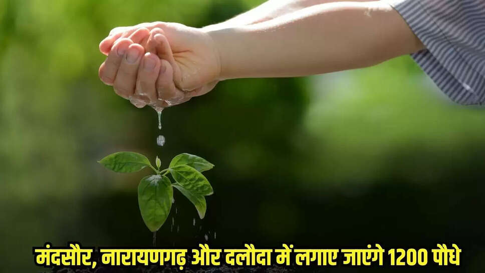 Mandsaur News