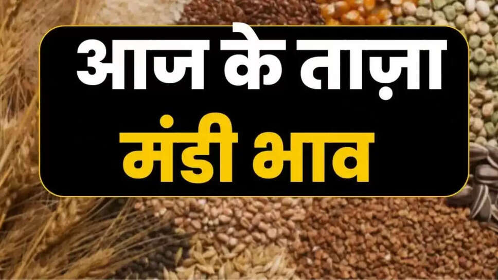 Today mandi bhav